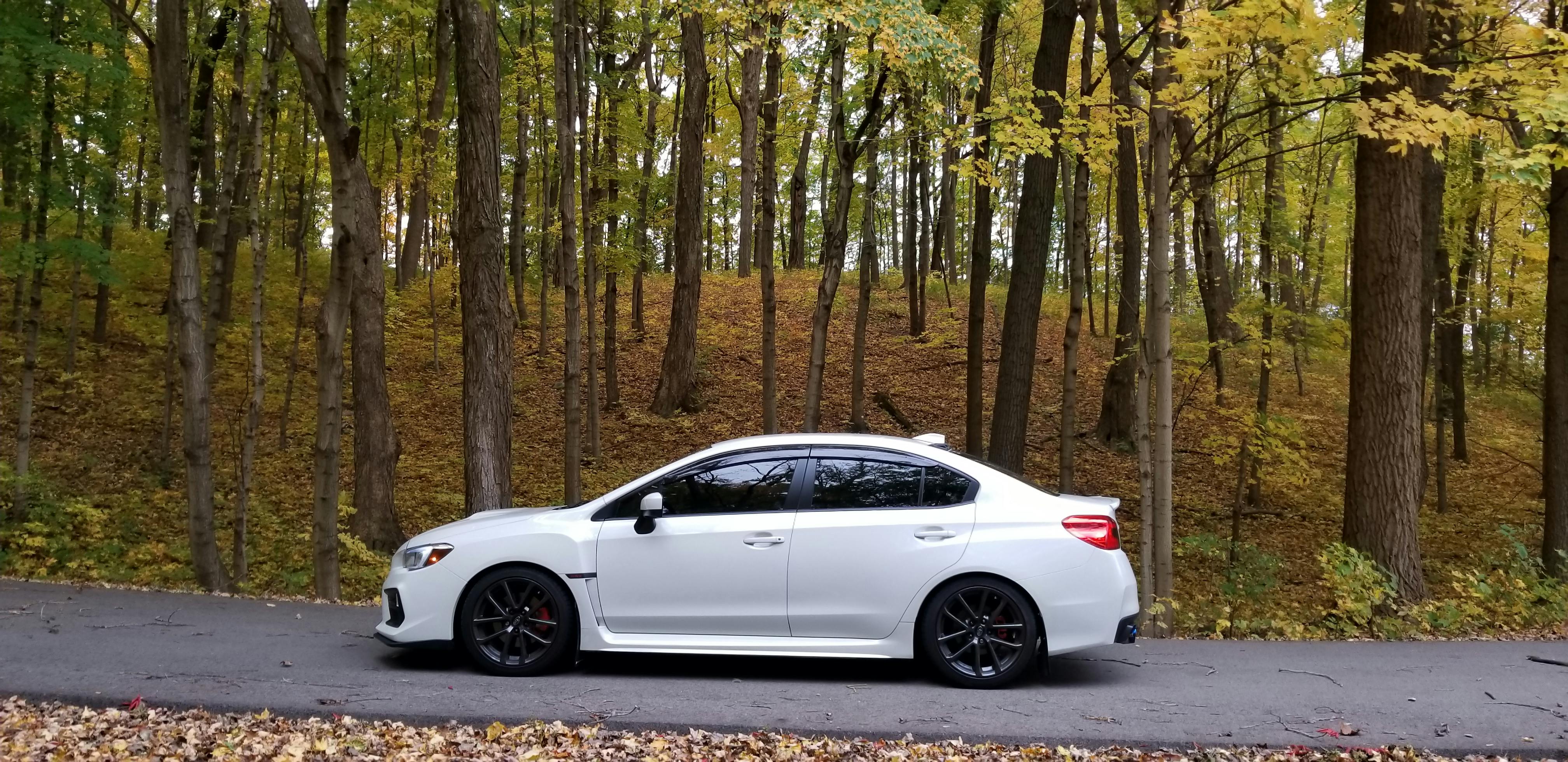 Tein subaru wrx